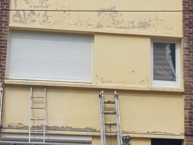 Lichens 18 Seau 18